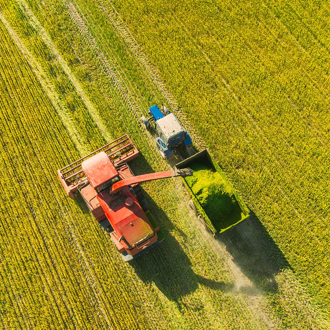 Traktor w tracie zbiorów na polu
